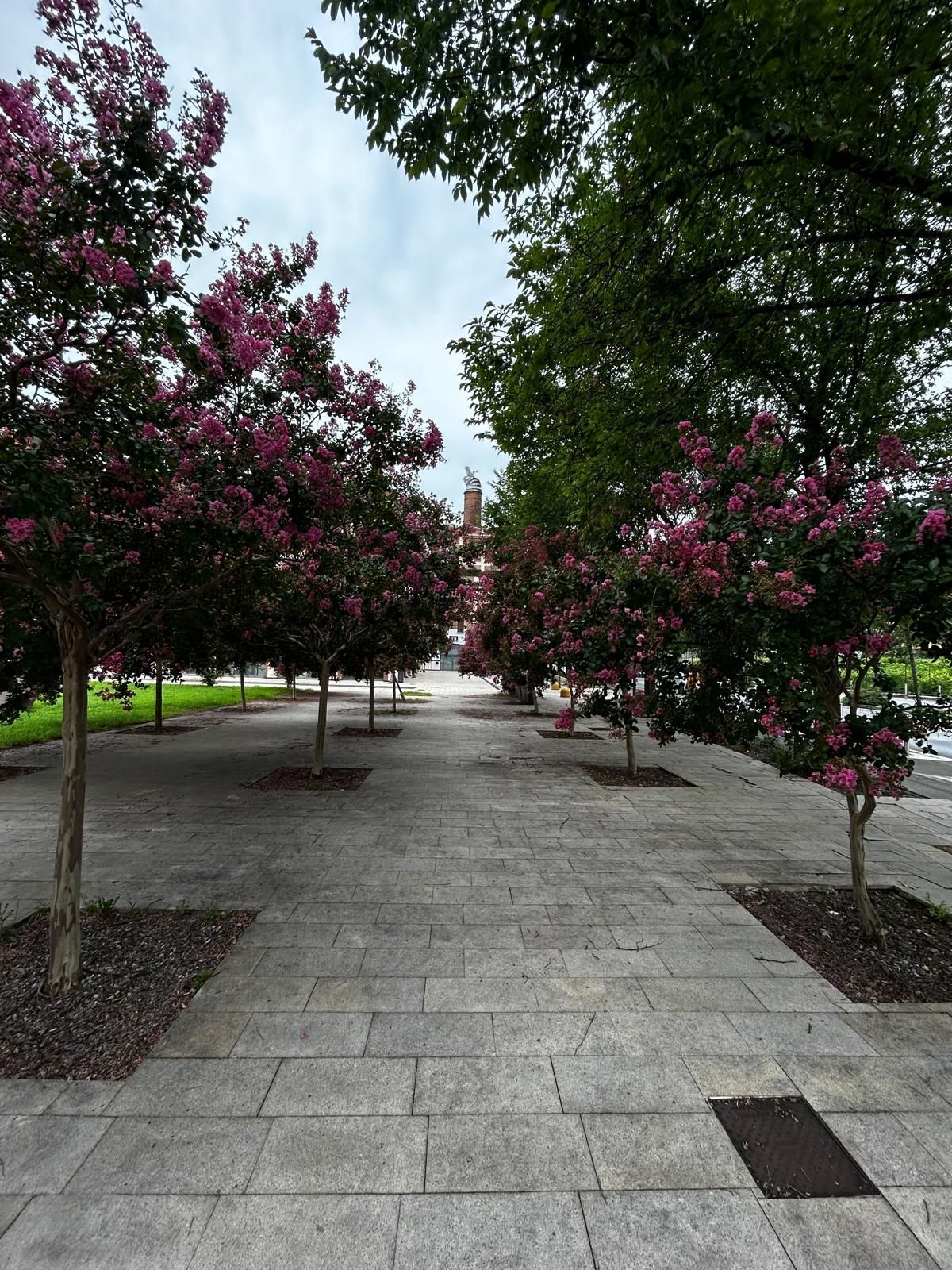 notaio guido cirilli