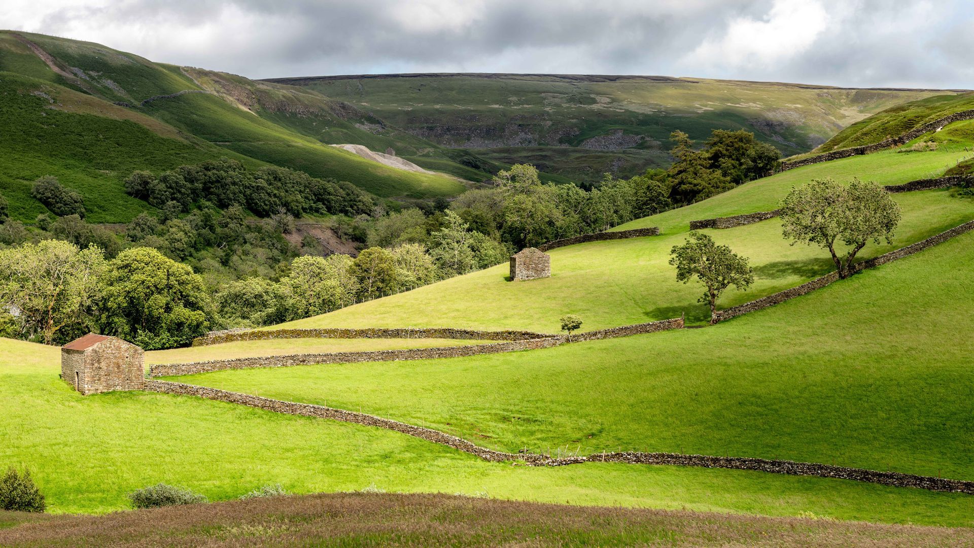 Storm light on fields at Keld, Yorkshire Dales