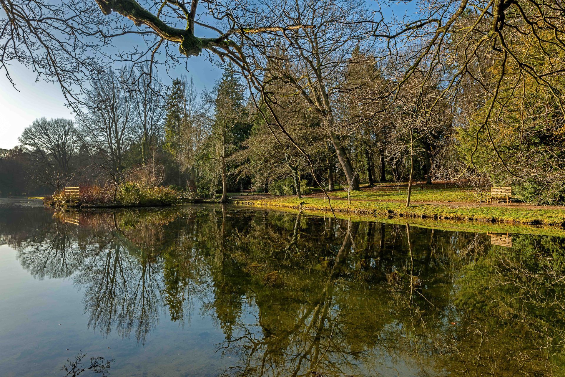 Early morning reflections in lake, Thorp Perrow,North Yorkshire