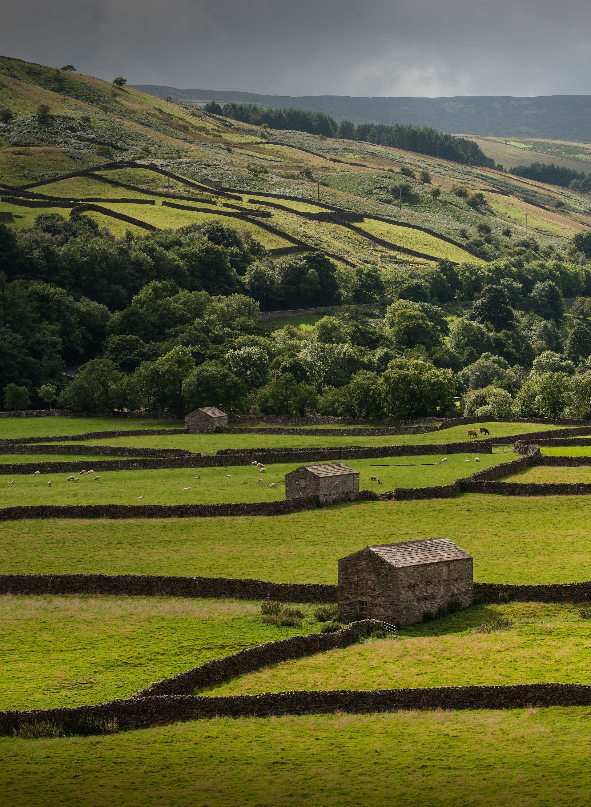 Patterns in walls and barns near Gunnerside, Yorkshire Dales