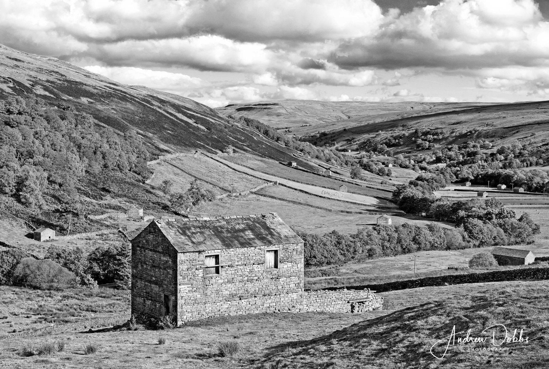 Stone barns and walls in Swaledale, Yorkshire Dales