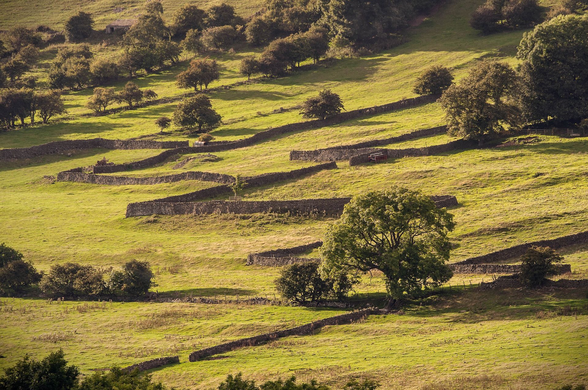 Patterns in dry stone walls and fields near Leyburn, Yorkshire Dales