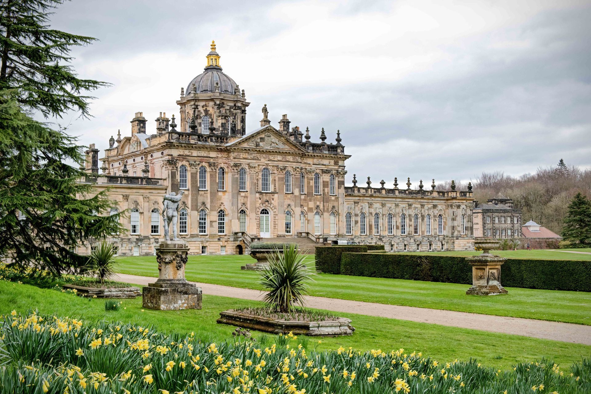 Daffodils at Castle Howard, North `Yorkshire