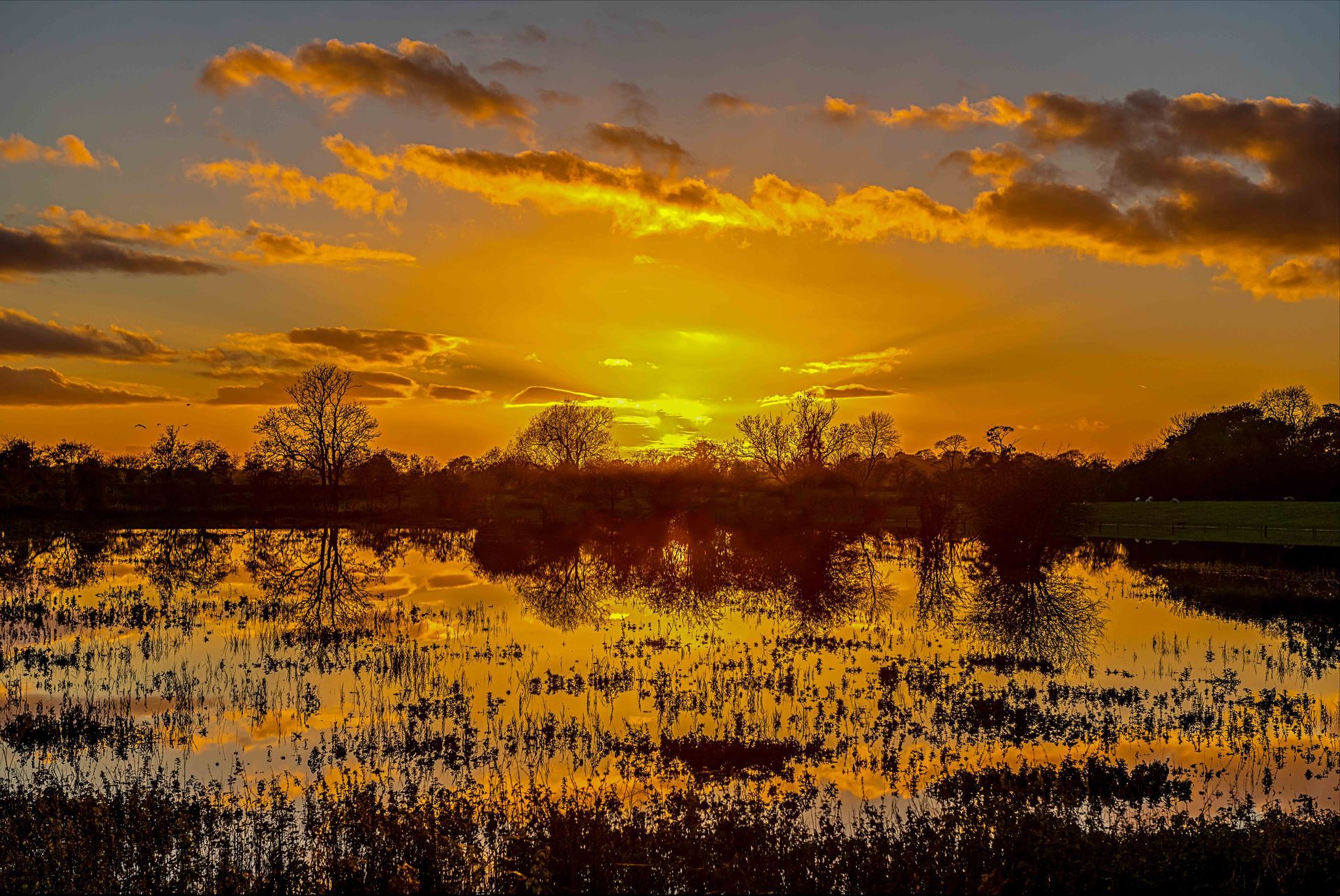 Sunset reflections in flooded fields near Green Hammerton, York, North Yorkshire