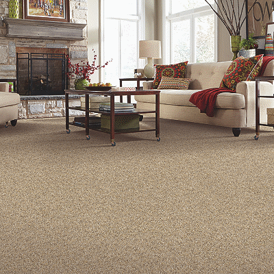 Mohawk Carpets