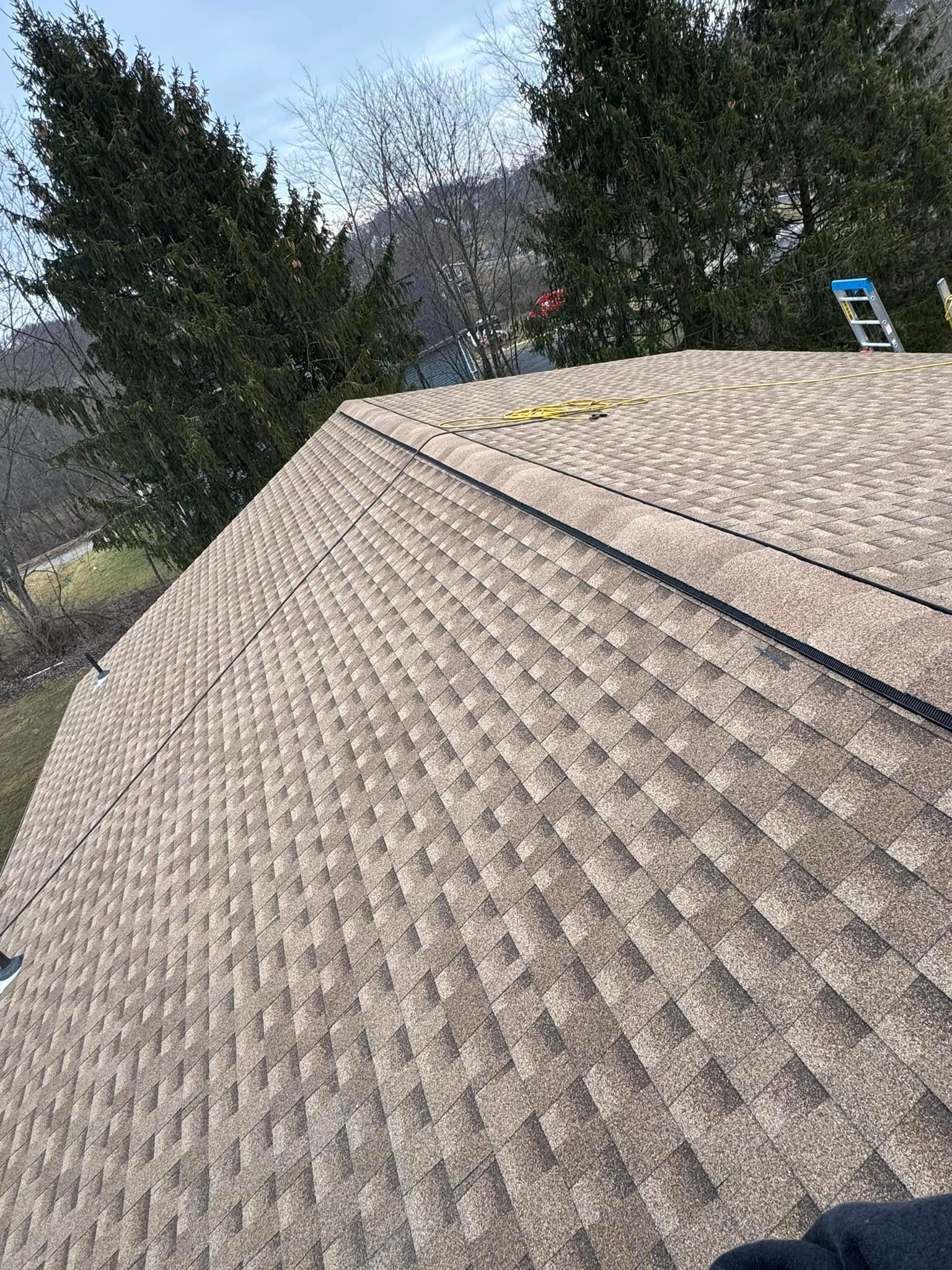 A close up of a roof with trees in the background.