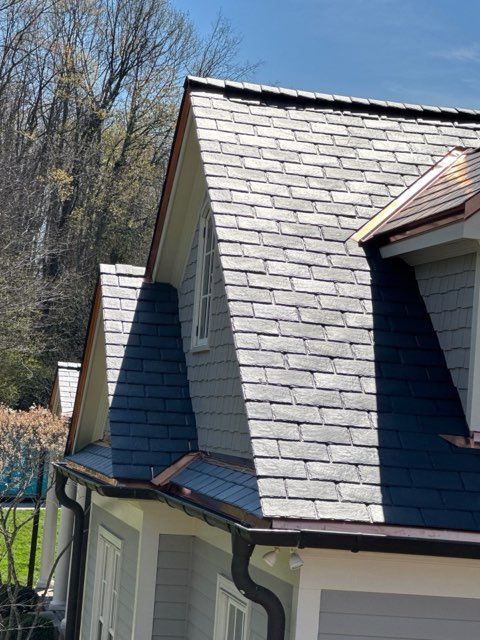 Steep shingled roof dormers with white siding and gutters against bare trees and blue sky