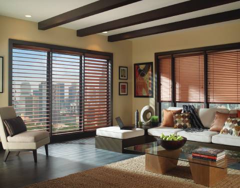 Blinds by Hunter Douglas from Interior Views including, aluminum blinds, near Manasquan, New Jersey (NJ)