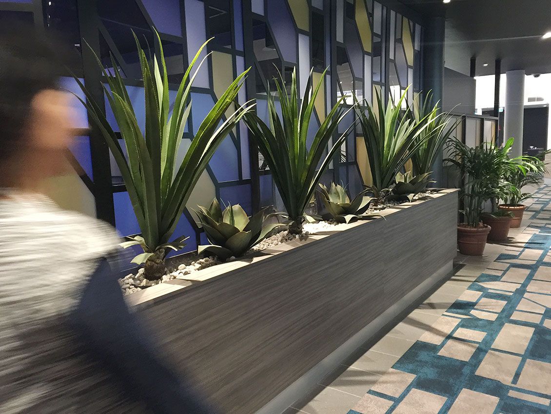 Newly Planted Plants | Bathurst, NSW | Bathurst Joinery