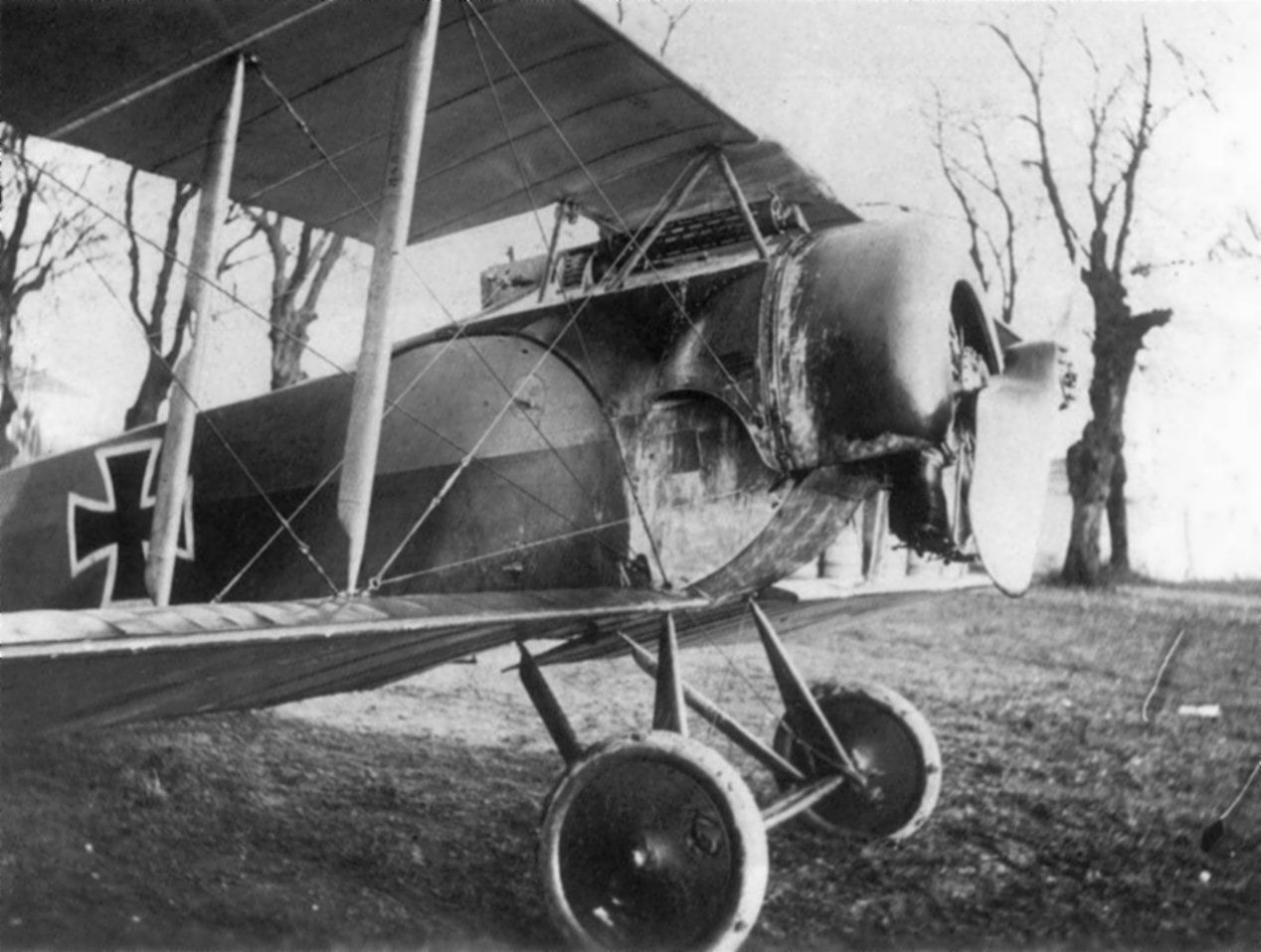 Fokker D.II (English)