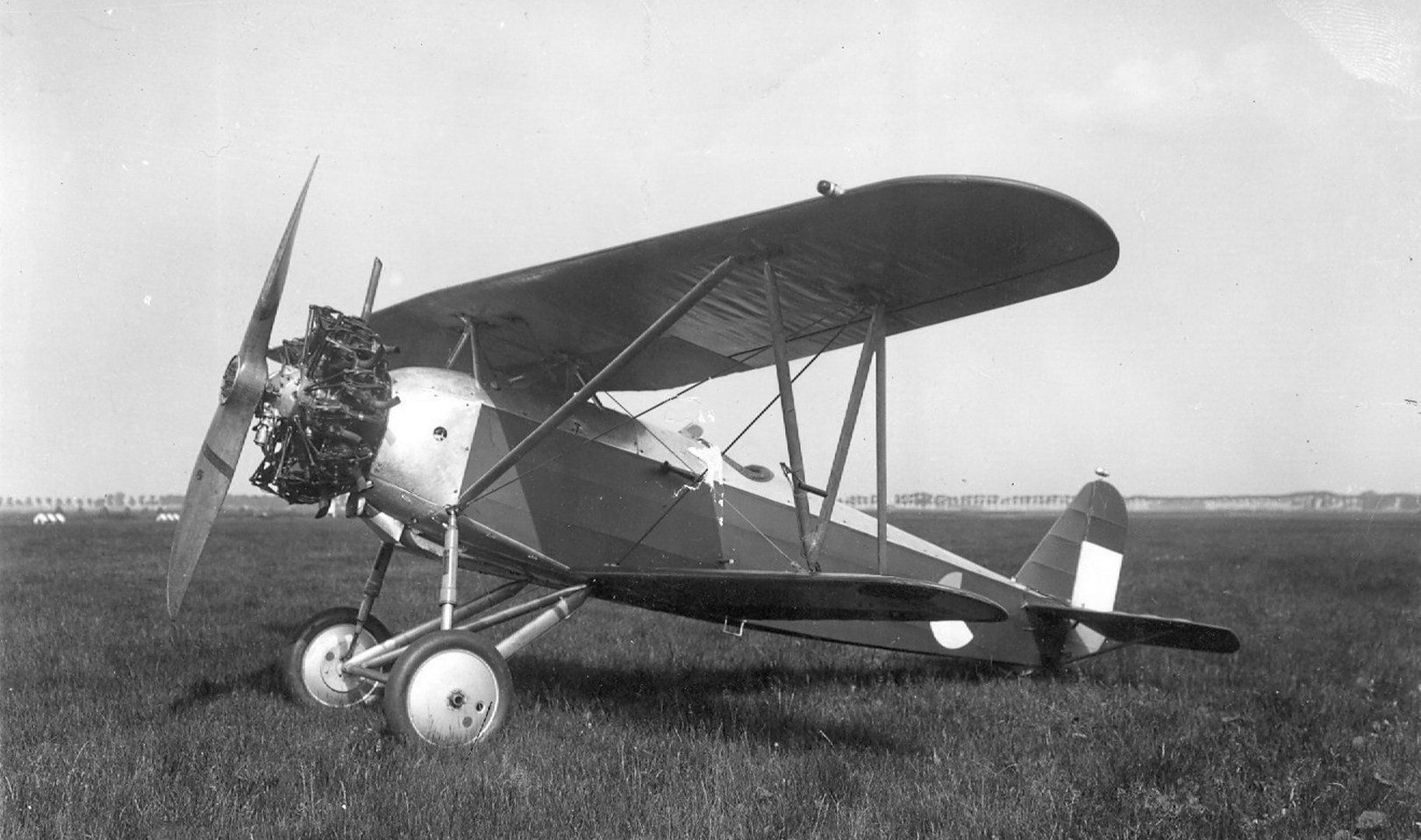 Fokker D.XVI (English)