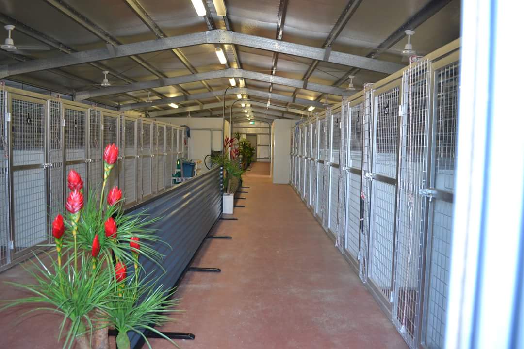 The indoor kennel - Pet Boarding House in Gladstone
