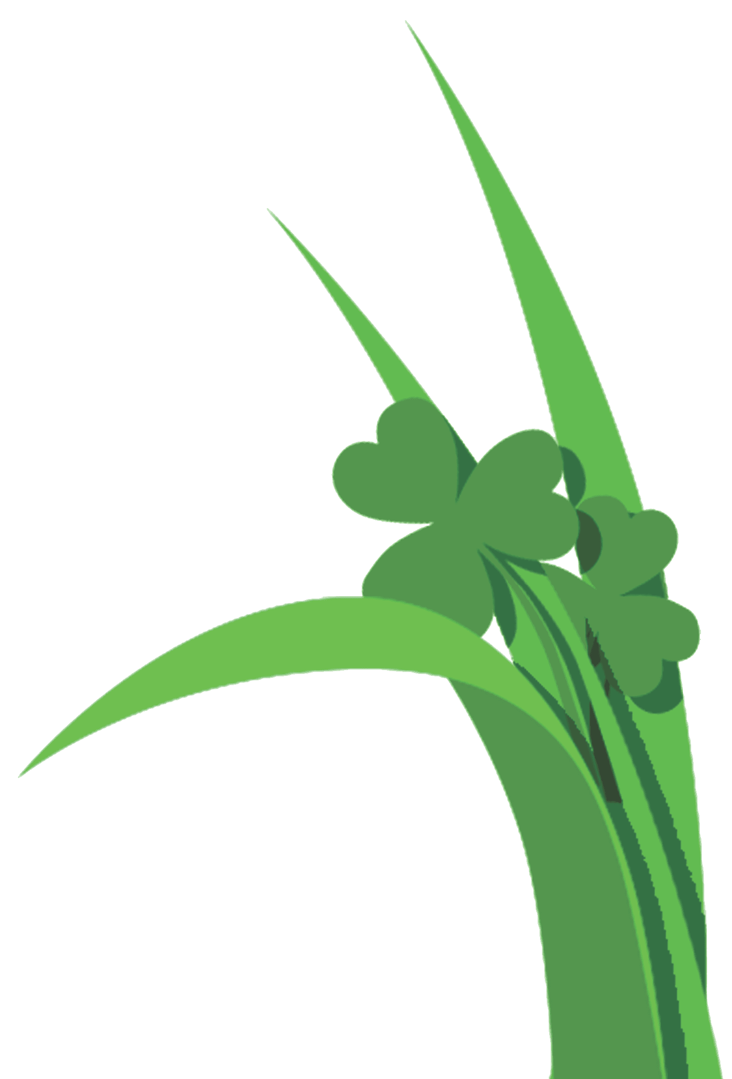 KCFert grass and shamrock