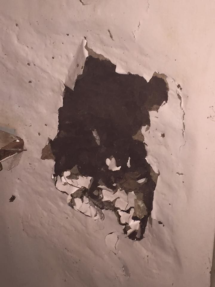 A Large Hole in A White Wall, Exposing Dark Interior — Arafura Pest Control Darwin In Yarrawonga, NT