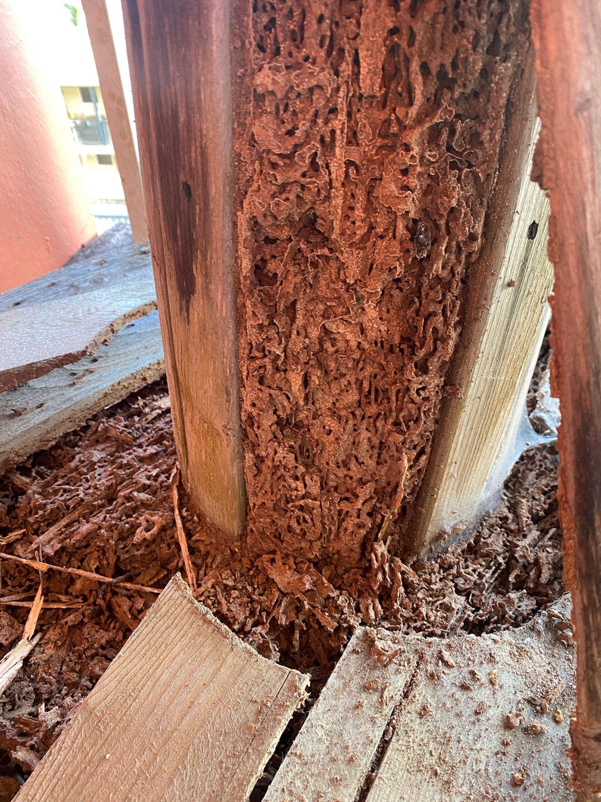 A close up of a wooden post covered in termites.