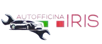 logo_Auto Iri