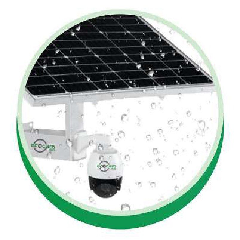 immagine ecocam scau ecologica 2