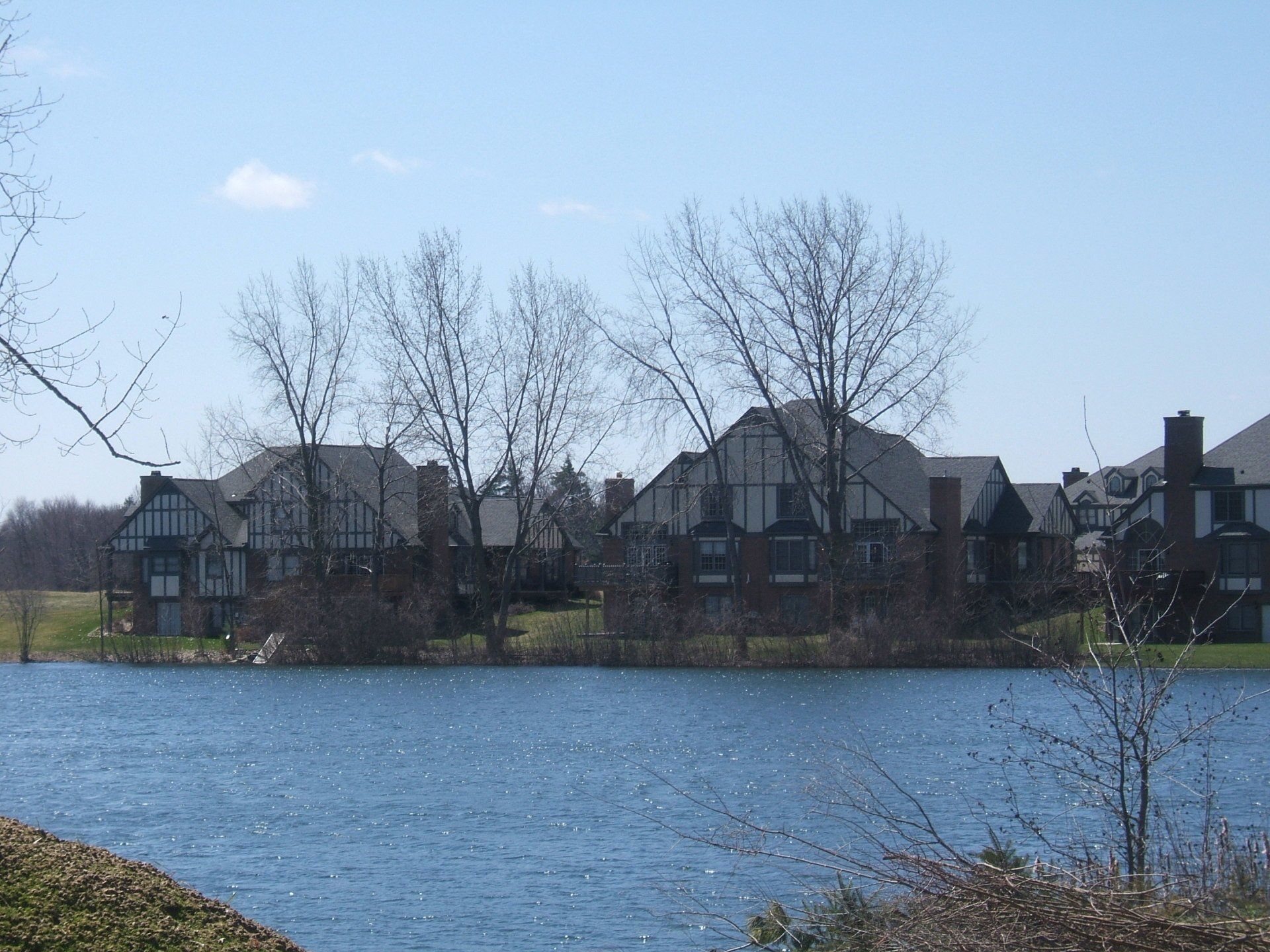 Houses across the river