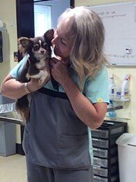 Veterinary Assistant with puppy — American Board of Veterinary Practitioners in Richmond, VA