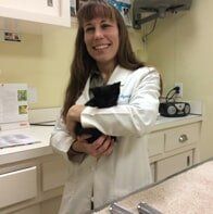 Veterinarian with black kitten — American Board of Veterinary Practitioners in Richmond, VA
