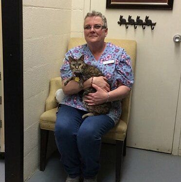 The woman take care of the cat — caring professionals in Richmond, VA