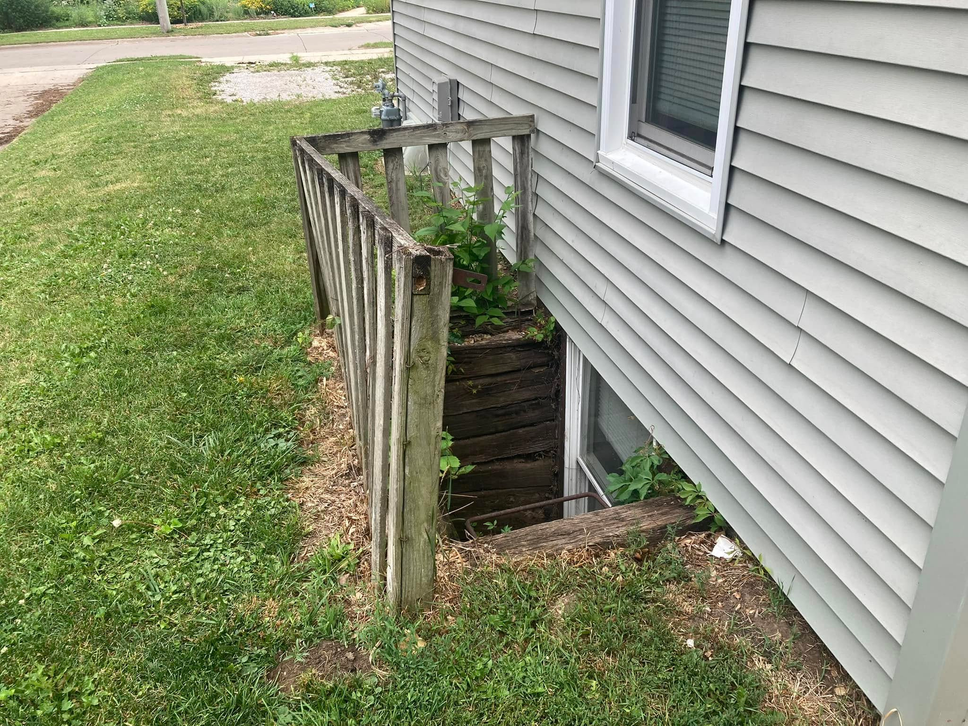 Dilapidated wooden cellar door opening next to a white house wall, with overgrown vegetation.