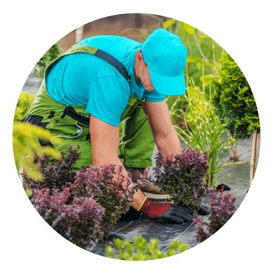 a man in a blue hat is working in a garden