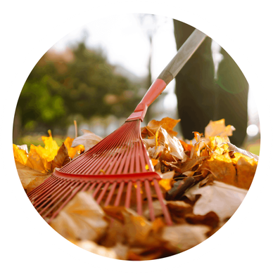 a person is raking leaves in a pile with a rake