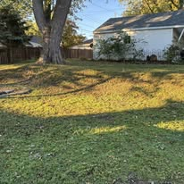 A house with a large tree in front of it. The yard is grassy and the day is sunny.