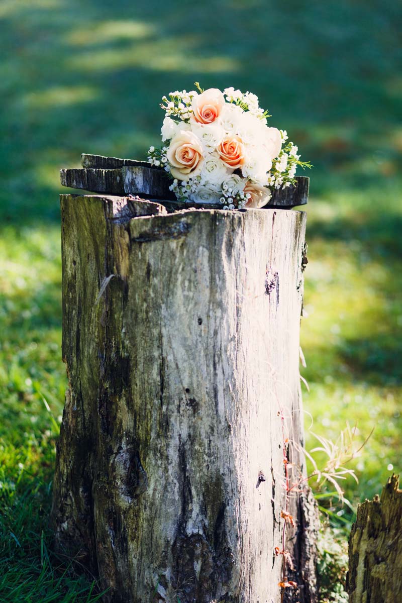 wedding flowers sitting on tree stump in autumn light