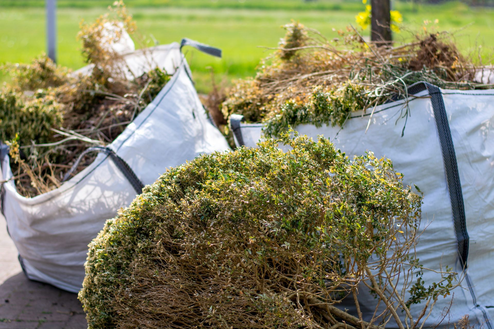 A bunch of bags filled with branches and leaves are sitting on the ground.