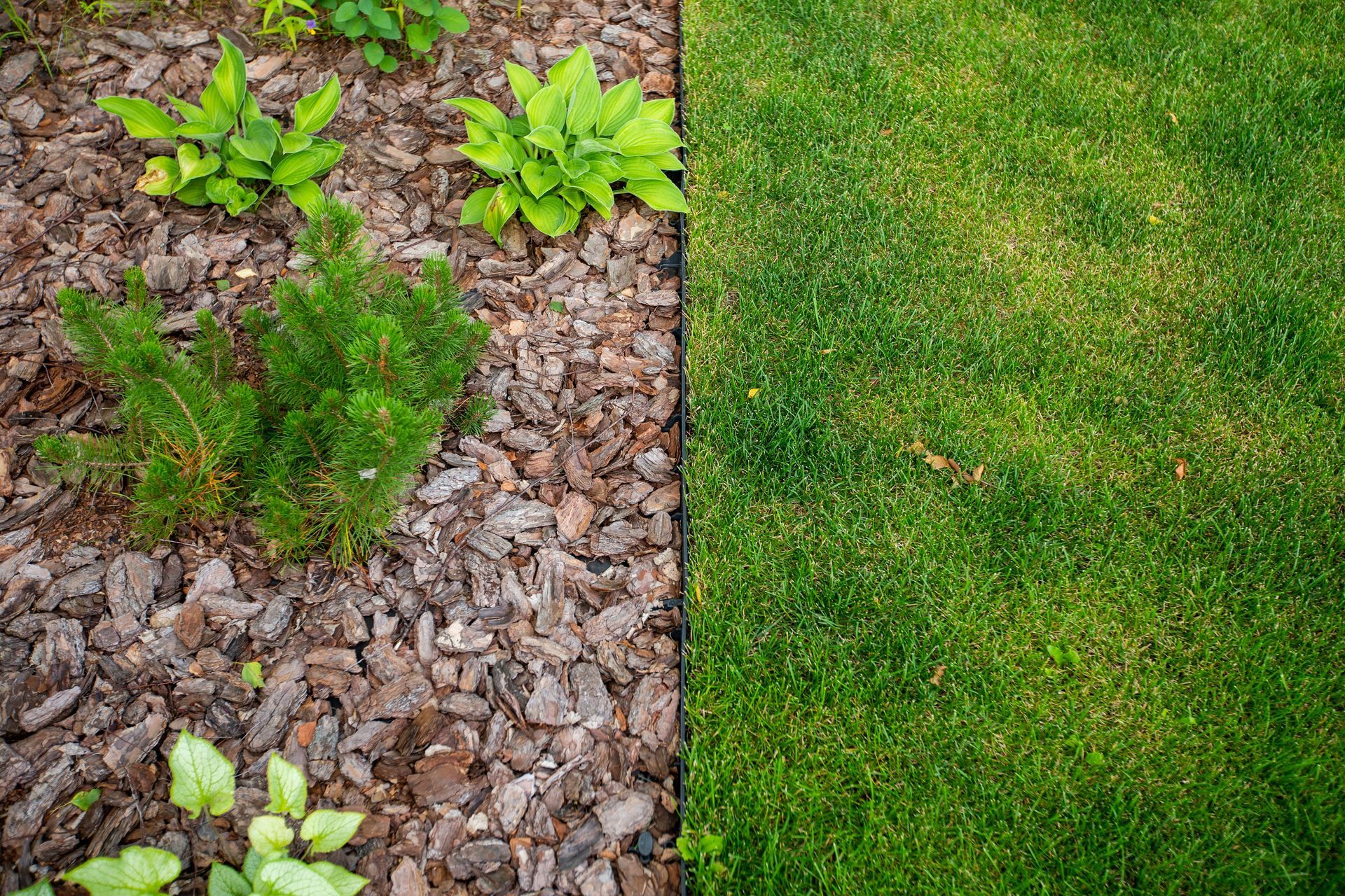 A lawn with a border of mulch and plants and a lawn with a border of mulch and plants.