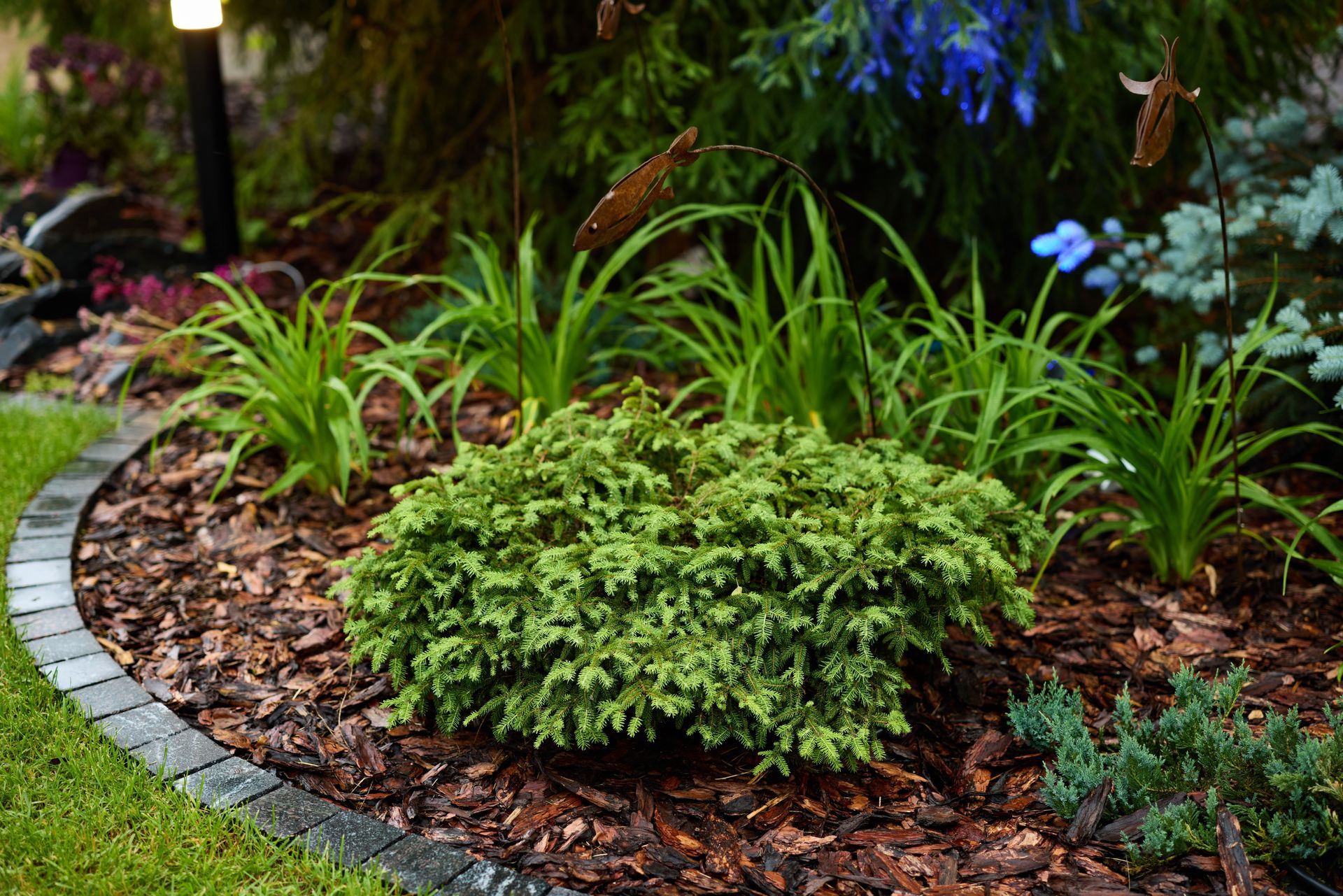 A garden filled with lots of plants and flowers