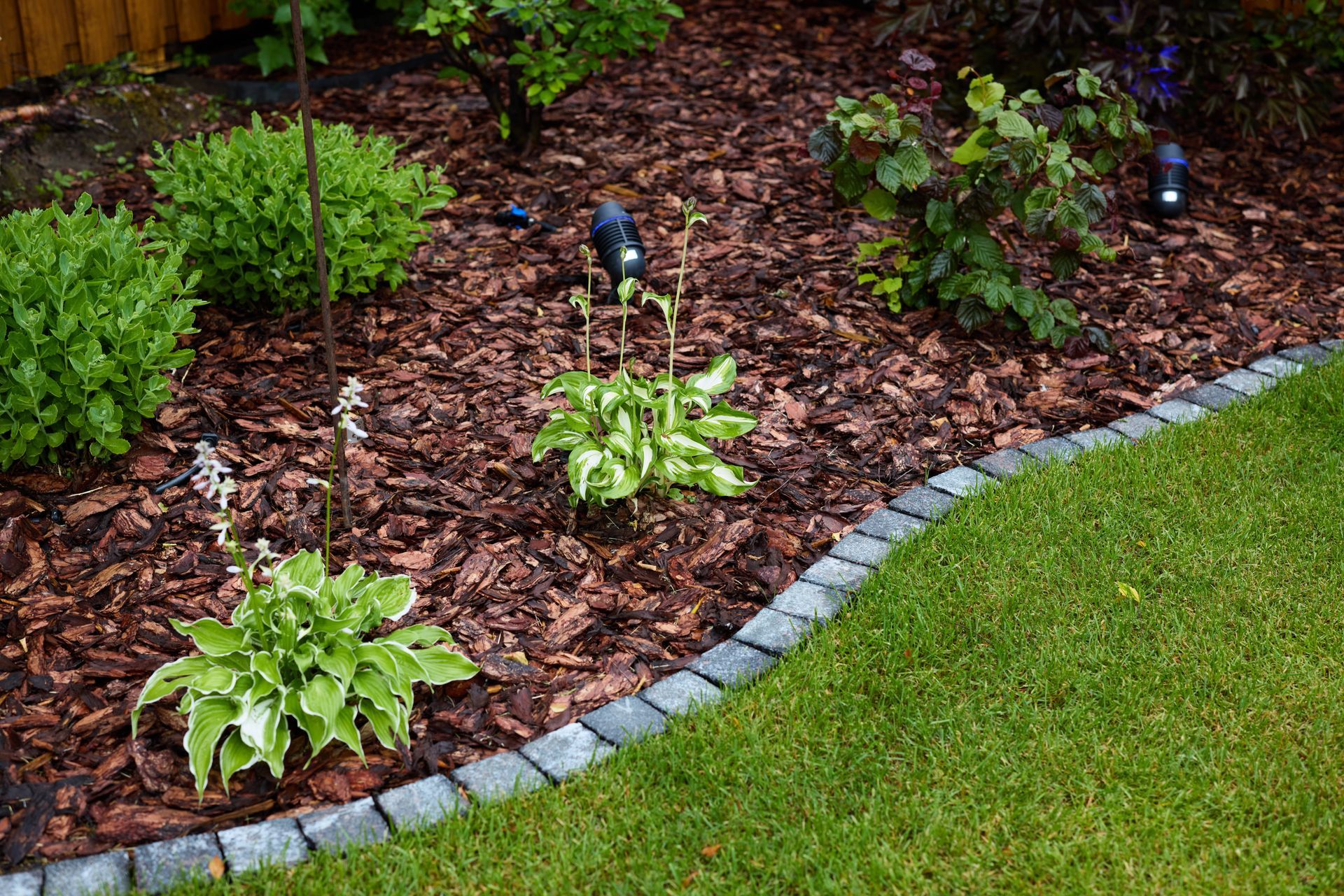 A garden filled with lots of plants and mulch.