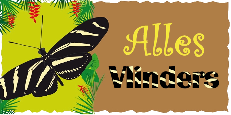 Logo AllesVlinders