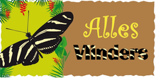 Logo AllesVlinders