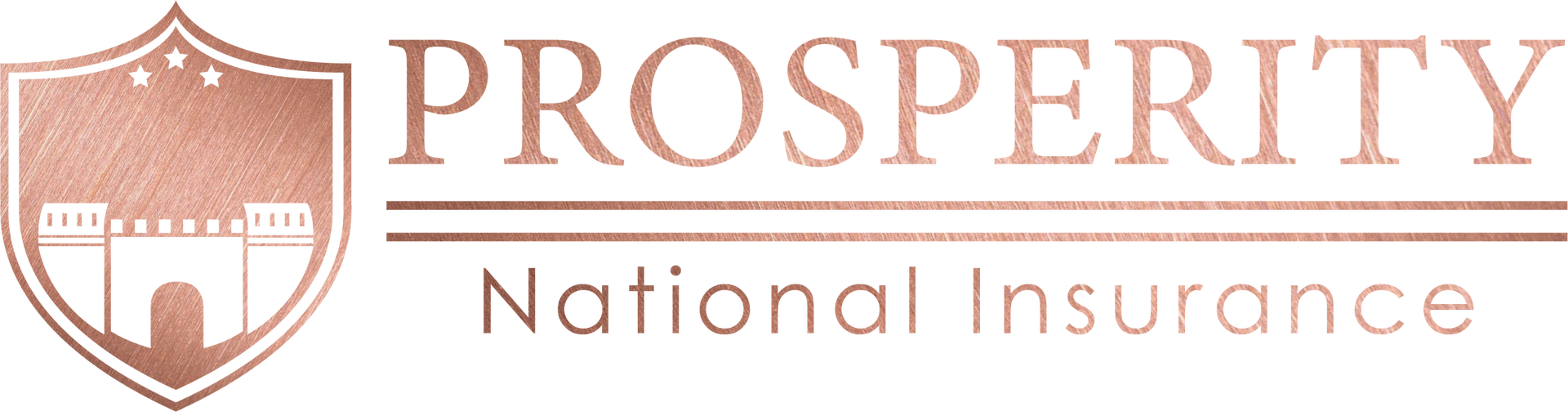 Prosperity National Insurance logo