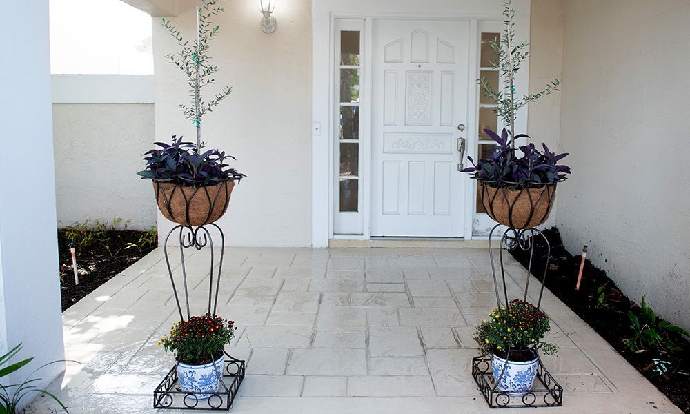Two potted plants are in front of a white door