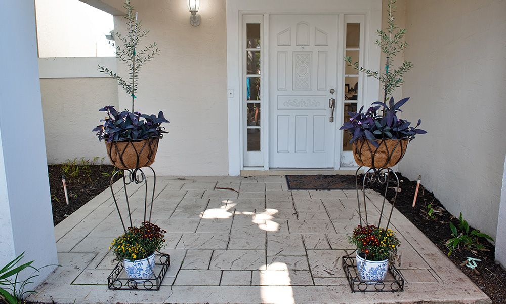 Two potted plants are in front of a white door
