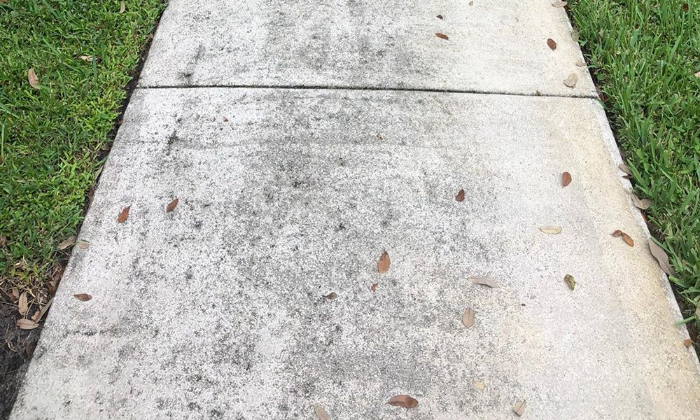 A concrete sidewalk with grass on the side of it.