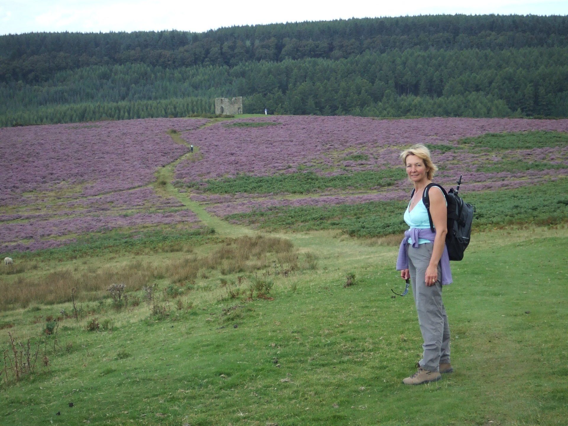 North Yorkshire  Moors National Park
