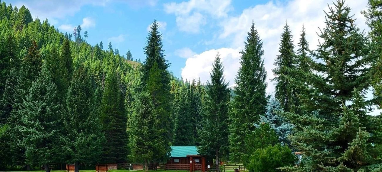 Coming Events Lolo, MT The Jack Saloon