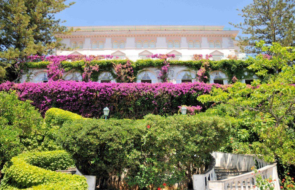 hotel surrounded by nature