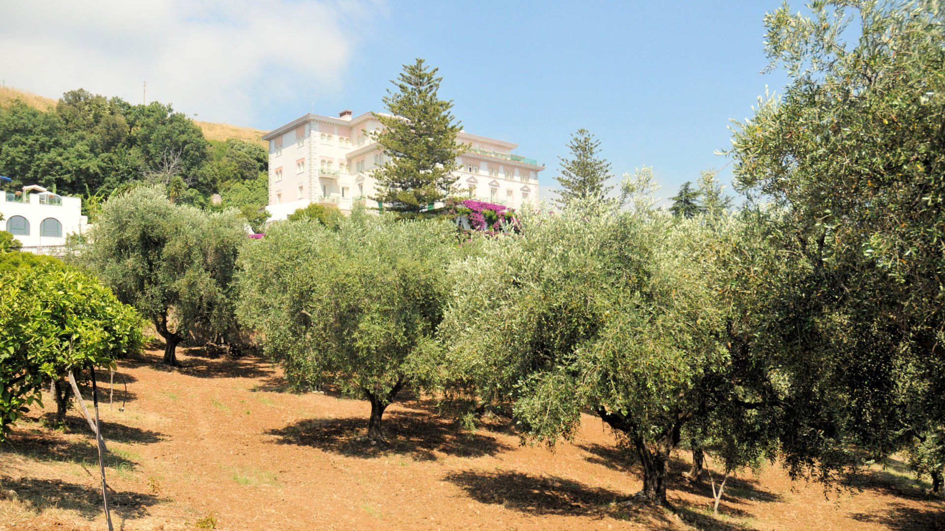 hotel for business meetings