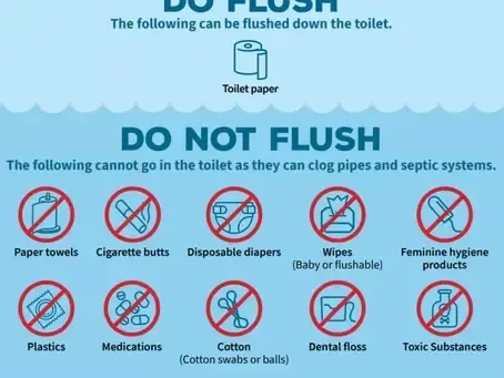 Toilet paper allowed; blue “Do Not Flush” signs with items like wipes, diapers, plastic, meds, and cotton balls.