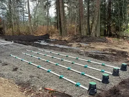 Rows of green and white irrigation pipes laid over gravel in a wooded outdoor area