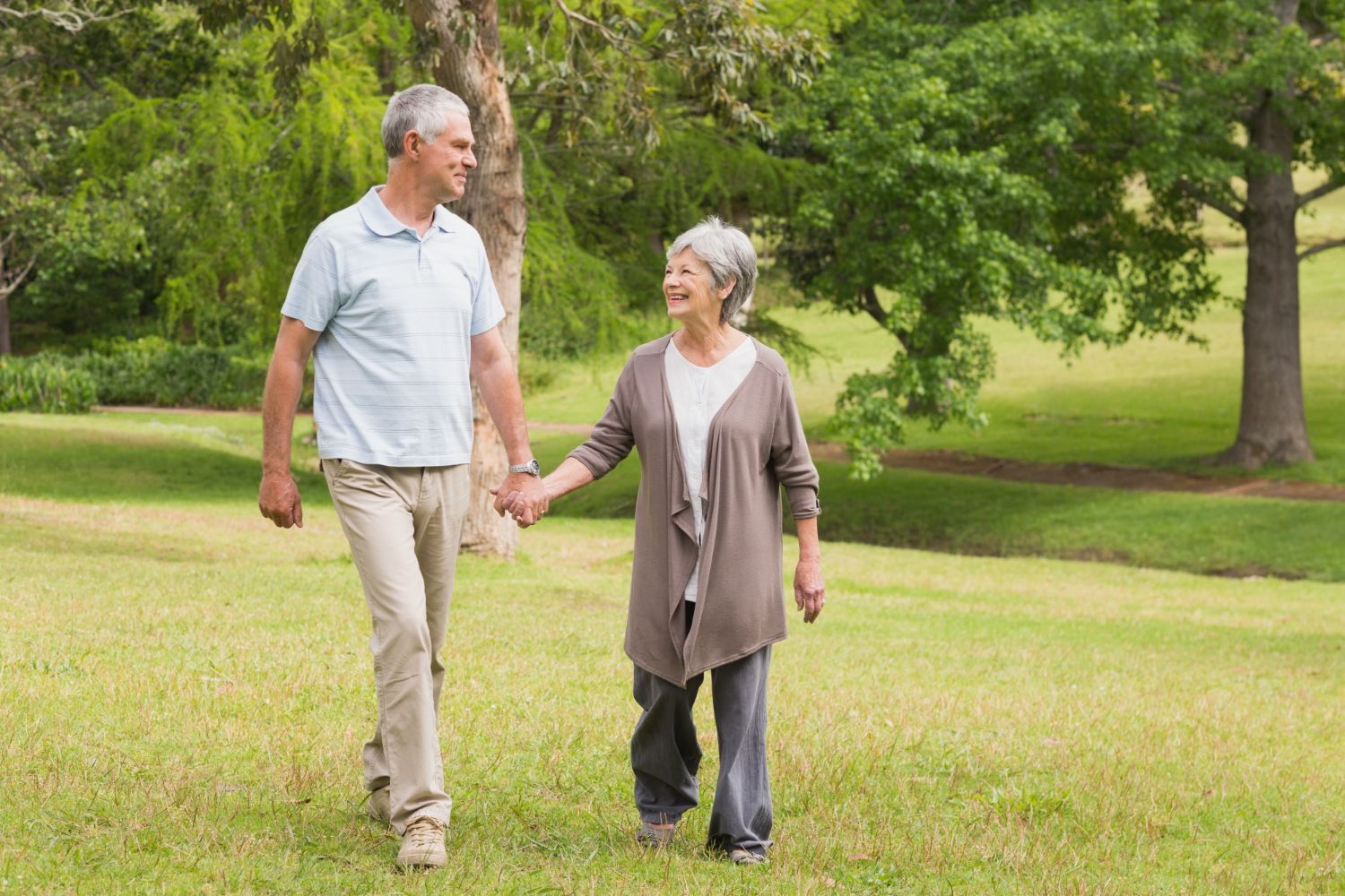 An elderly couple walking hand-in-hand in a sunny park; smiling, green grass, trees.
