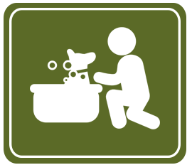 Pet Boarding Stratford, CT