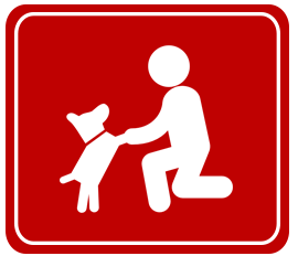 Pet Boarding Milford, CT