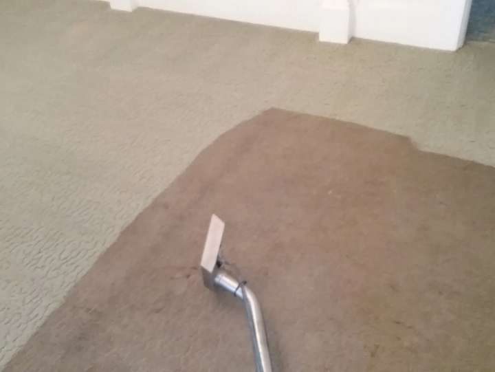 Carpet Cleaning - Greenville, NC - Jansen Upholstery & Carpet Cleaning